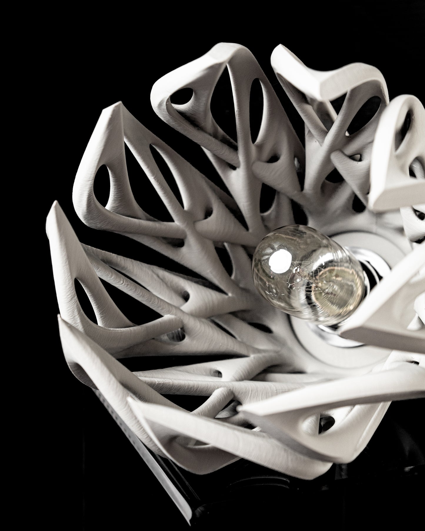 Mantis Stropné tienidlo